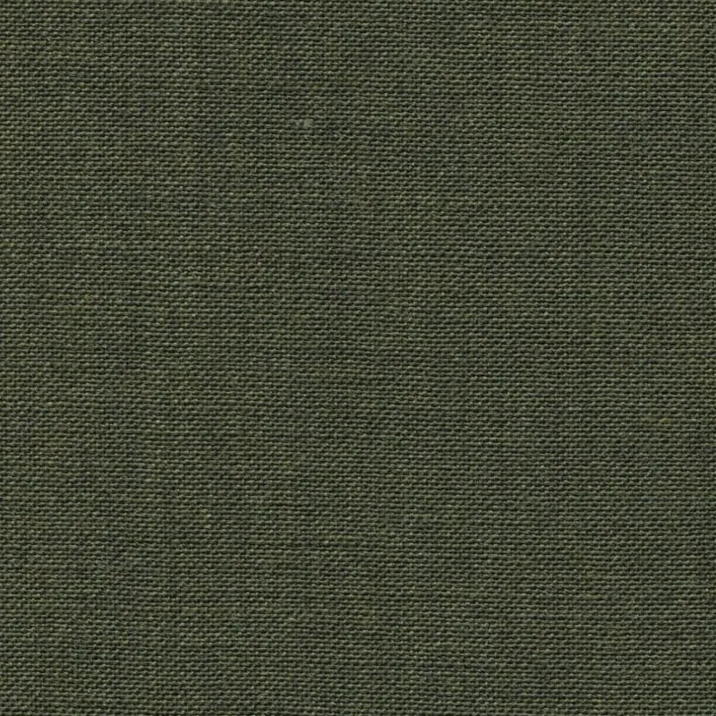 2622037 | Eco-Traveller
