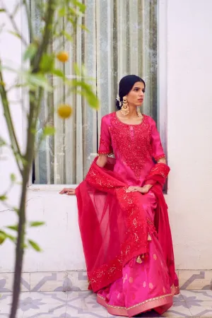 Anarkali Set