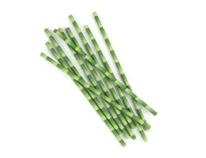 Biodegradable Paper Straws