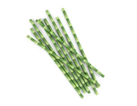 Biodegradable Paper Straws