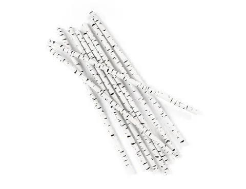 Biodegradable Paper Straws