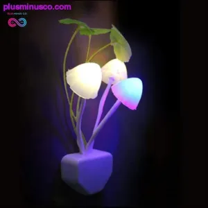 LED Mushroom Night Light, Color Changing || Plusminusco.com