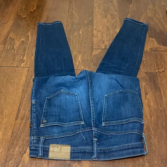 MADEWELL 9” High Rise Skinny Jeans in Larkspur Wash Size 27