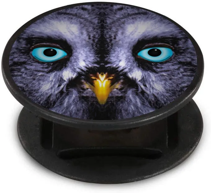 Owl Gaze Nuckees